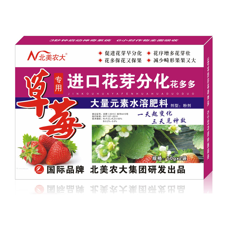 草莓專用進口花芽分化花多多
