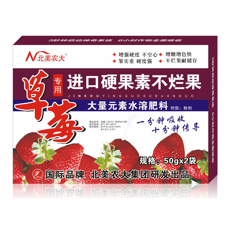 草莓進口硬果素不爛果