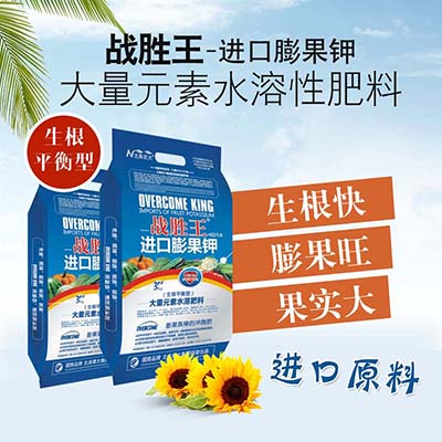 西蘭花應(yīng)該如何施肥？水溶肥怎么施用？