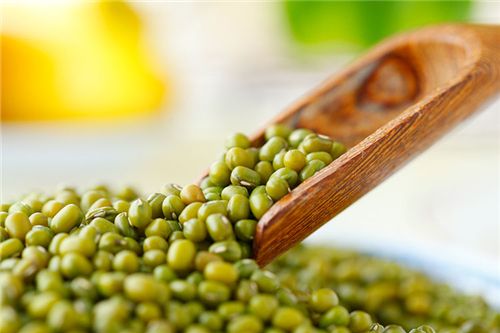 種植綠豆應當如何施肥？