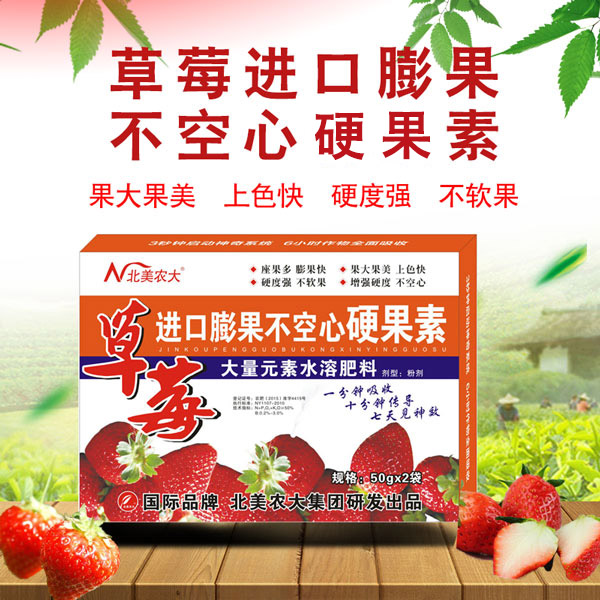 草莓果小怎么辦？草莓膨果不空心的方法！
