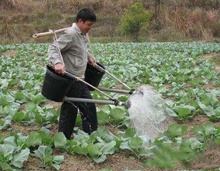 沖施肥是什么？是方法還是肥料的分類？