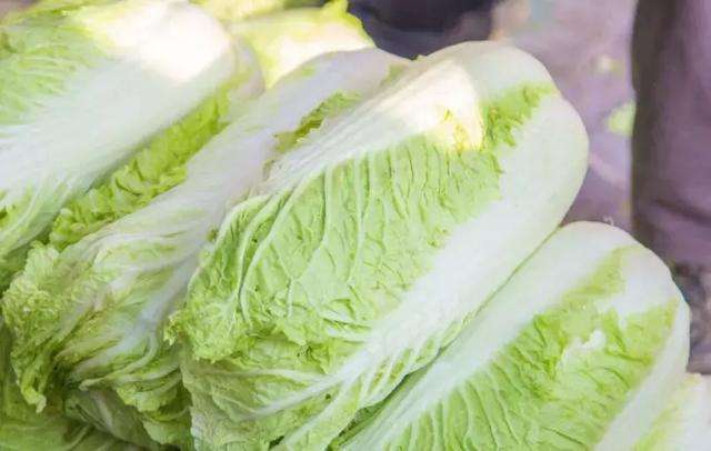 怎么施肥防止白菜不包心？
