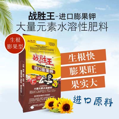 大棚蔬菜應(yīng)該如何施肥？施什么肥好？