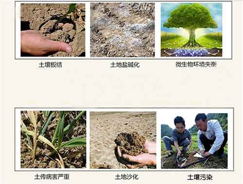 海藻酸、腐殖酸、甲殼素……到底哪個(gè)好用？