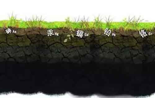 海藻酸、腐殖酸、甲殼素……到底哪個(gè)好用？